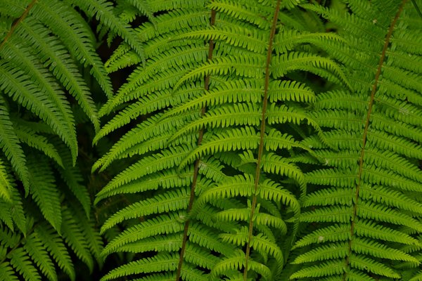 Boostez votre activité avec le logiciel devis pro efficace