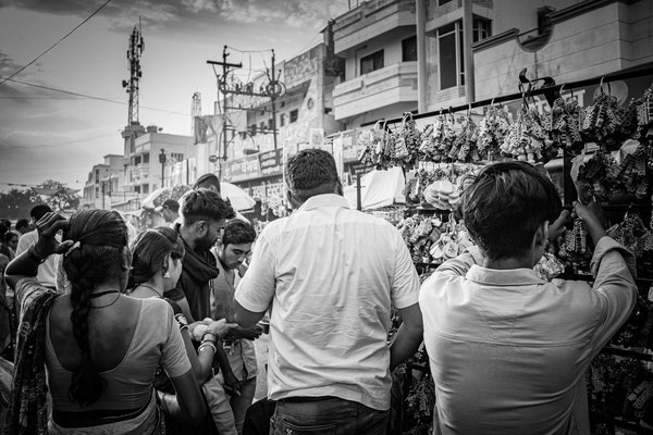 Tout savoir sur le bouledogue à poils longs : un compagnon unique