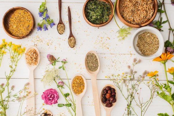 Formation naturopathie : boostez votre carrière en bien-être